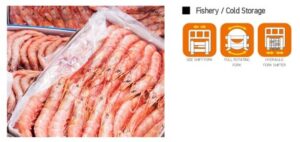 Forklift Attachment Fishery - Win Equipment